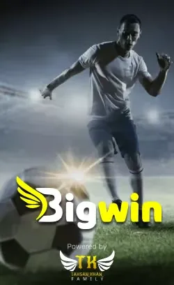 bigwin buzz app